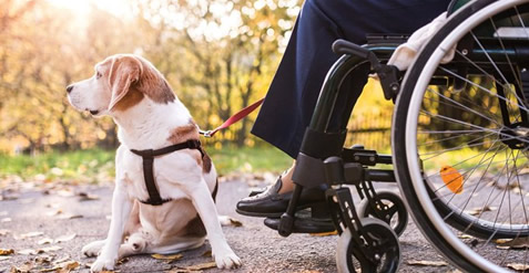 Mobilityshop - Helping you regain your freedom Wheelchairs & Mobility ...
